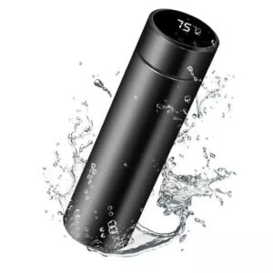 Stainless Steel Temperature Water Bottle