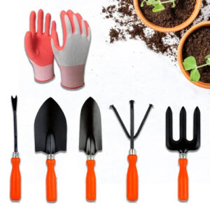Garden Tools Kit Set of 5 with Gloves