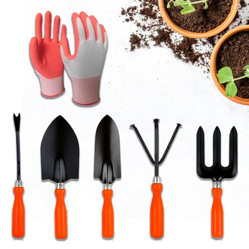 Garden Tools Kit Set of 5 with Gloves